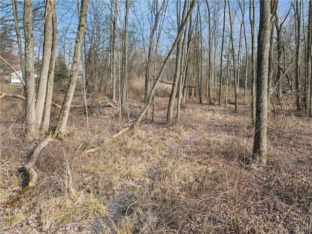 1 Badi Dr, Nyack, NY 10960