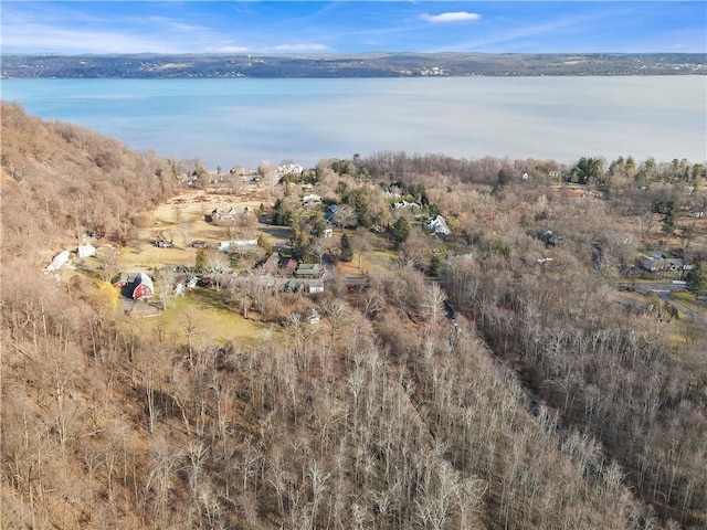1 Badi Dr, Nyack, NY 10960