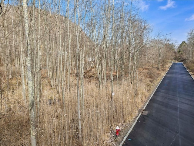 1 Badi Dr, Nyack, NY 10960