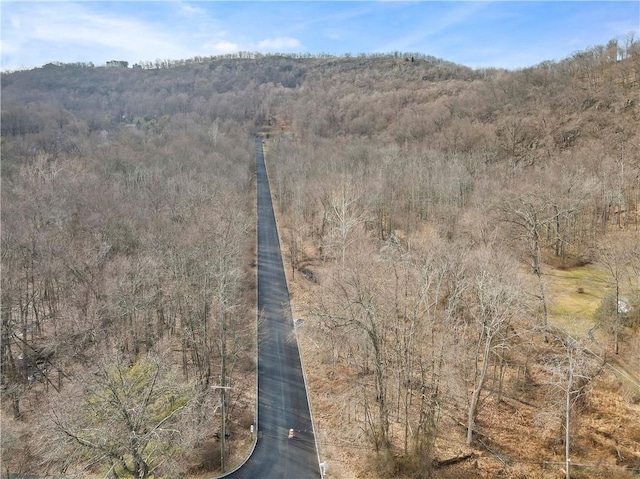 1 Badi Dr, Nyack, NY 10960