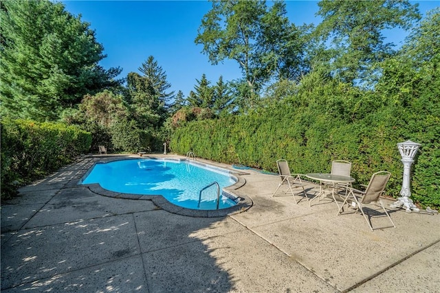 view of swimming pool with a patio