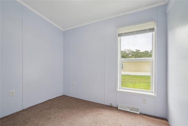 carpeted empty room featuring a healthy amount of sunlight and crown molding