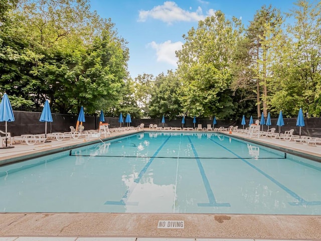 view of pool featuring a patio