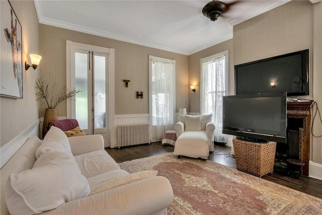 living room featuring crown molding, dark hardwood / wood-style floors, and radiator