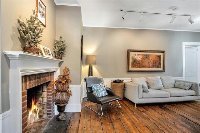 living room featuring rail lighting, wood-type flooring, crown molding, and a fireplace