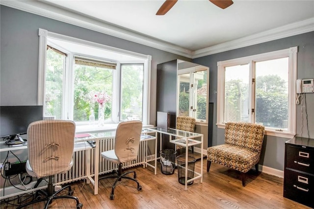 living area with crown molding, a healthy amount of sunlight, ceiling fan, and light wood-type flooring