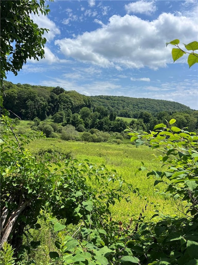 Pleasant Rdg, Poughquag NY, 12570 land for sale