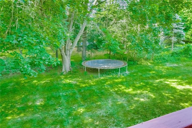 view of yard with a trampoline