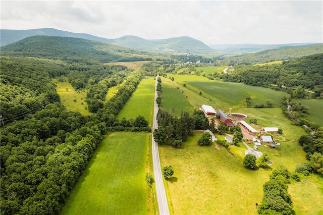 birds eye view of property featuring a mountain view