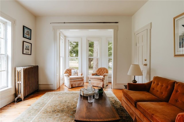 living area featuring radiator and light hardwood / wood-style flooring