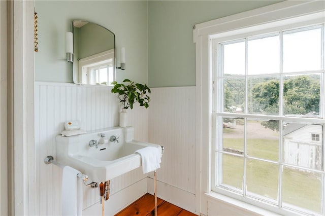 bathroom featuring hardwood / wood-style floors