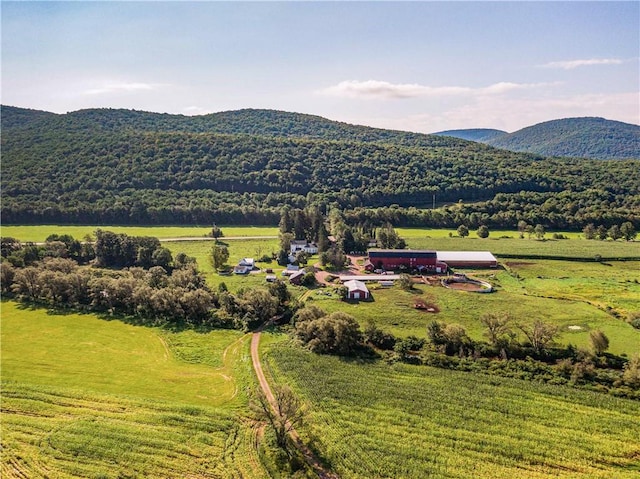 property view of mountains with a rural view