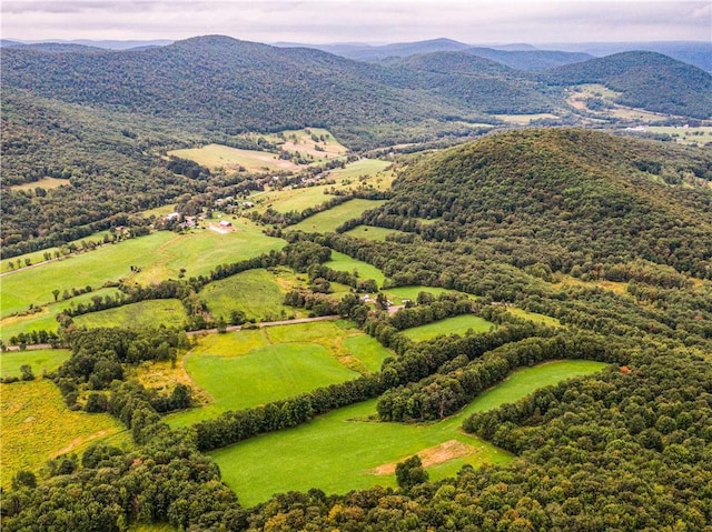 birds eye view of property featuring a mountain view