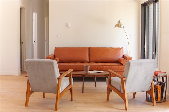 living room featuring light wood-type flooring