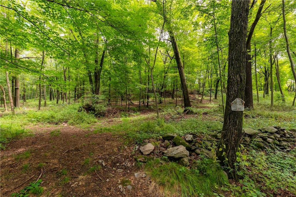 Arthursburg Rd, Lagrangeville, NY 12540