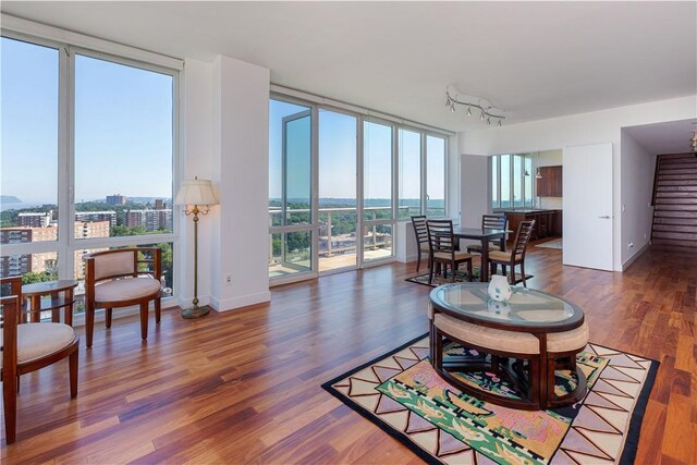 living room with dark hardwood / wood-style floors and a wall of windows