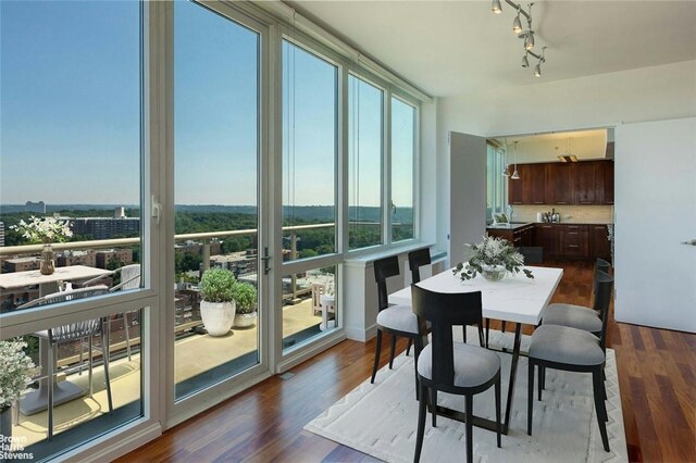 dining space featuring dark wood-type flooring