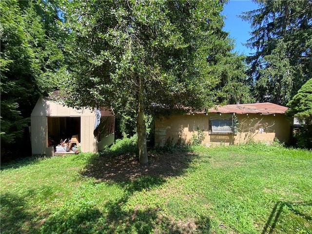 view of yard with a storage unit