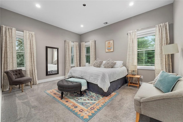 bedroom with carpet floors