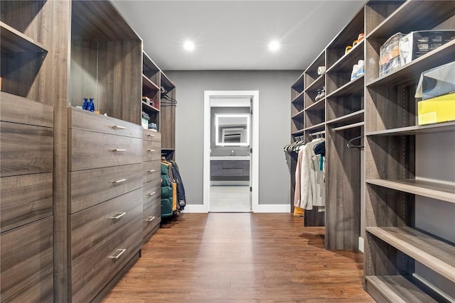 spacious closet featuring sink and dark hardwood / wood-style floors