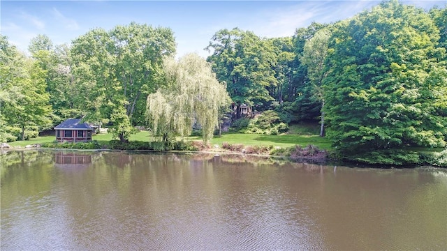 view of water feature