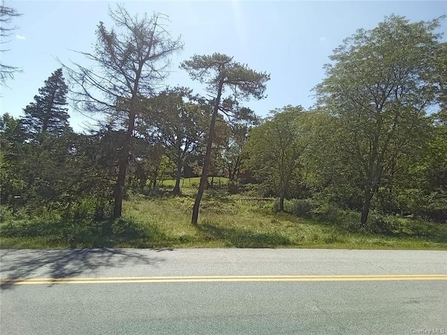 73 Sunset Ter, Highland Mills NY, 10930 land for sale