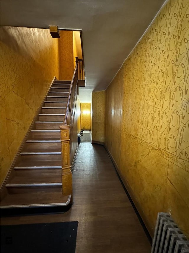 stairs featuring radiator and wood-type flooring