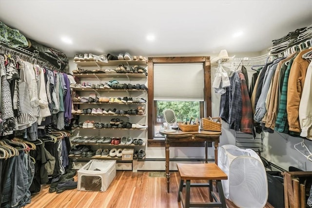 walk in closet featuring wood-type flooring