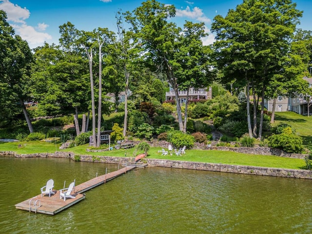 33 Truesdale Lake Dr, South Salem, NY 10590 - dock area with a water view and view of wooded area
