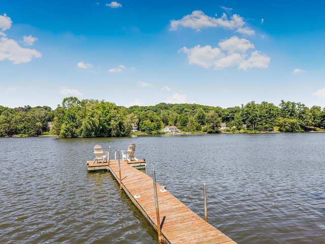 33 Truesdale Lake Dr, South Salem, NY 10590 - dock featuring a water view and a forest view