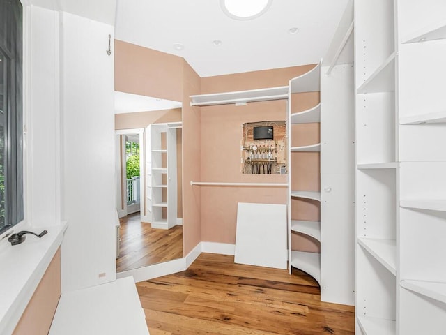 walk in closet with light hardwood / wood-style floors