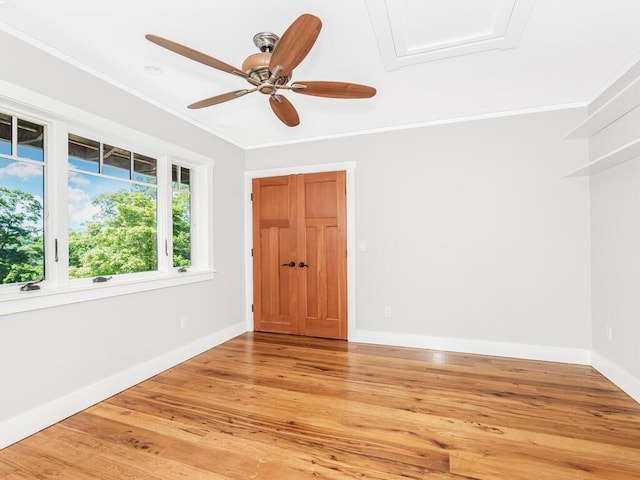 spare room with ceiling fan, light wood-type flooring, and crown molding