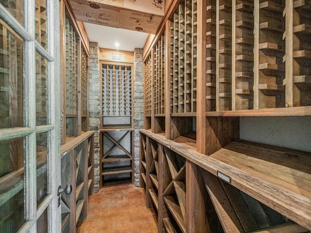 wine cellar featuring carpet floors