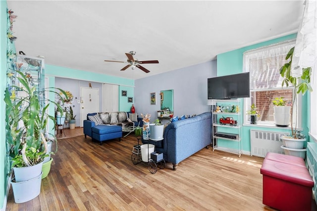 living room with hardwood / wood-style flooring, ceiling fan, and radiator