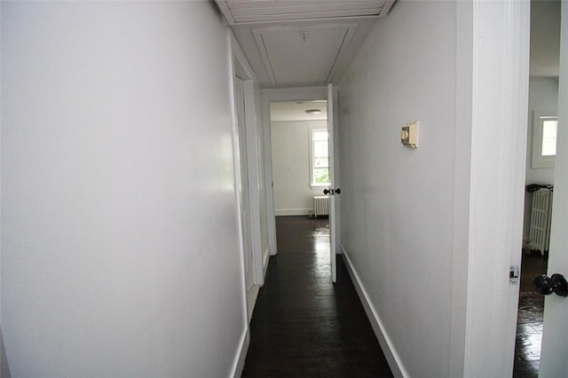 corridor featuring dark hardwood / wood-style floors and radiator heating unit