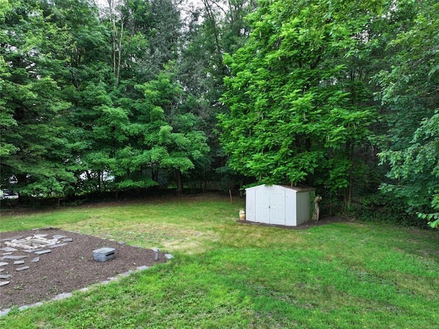 view of yard with a shed