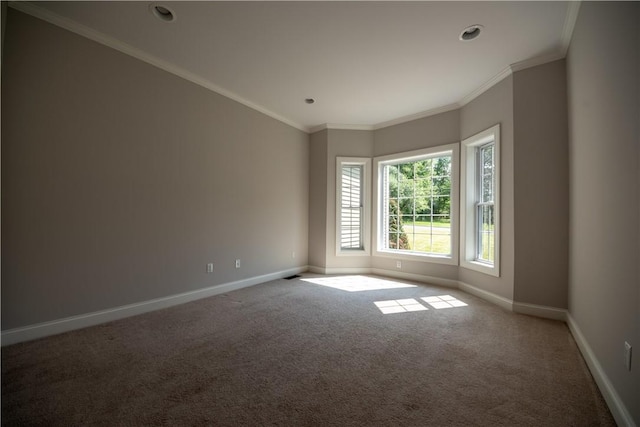 carpeted spare room with crown molding