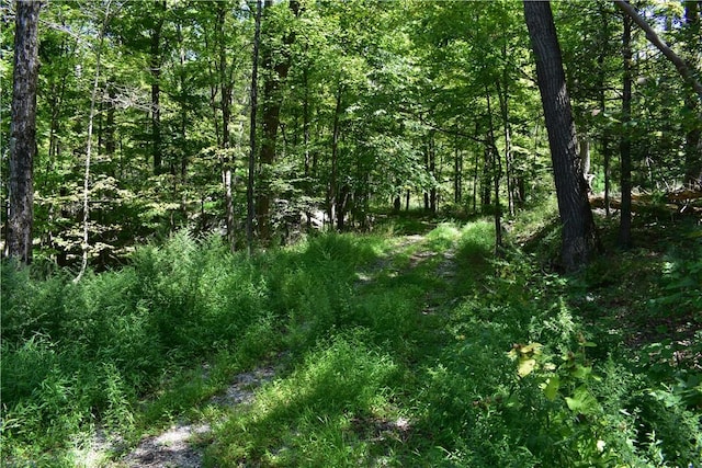 Acoma Rd, Tuxedo Park NY, 10987 land for sale