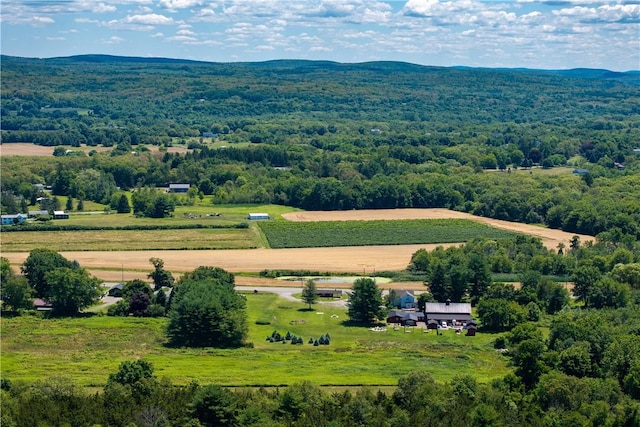 birds eye view of property with a mountain view and a rural view