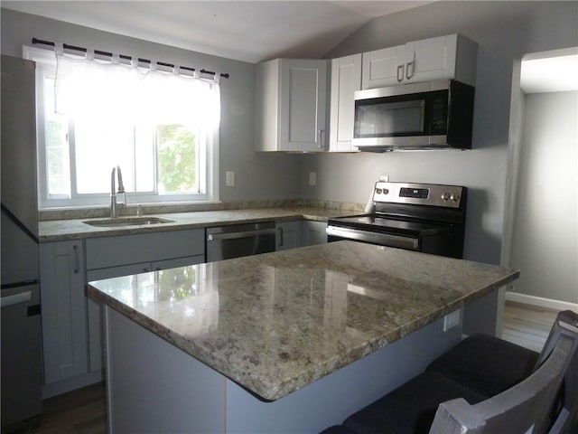 kitchen with hardwood / wood-style flooring, a center island, sink, and stainless steel appliances