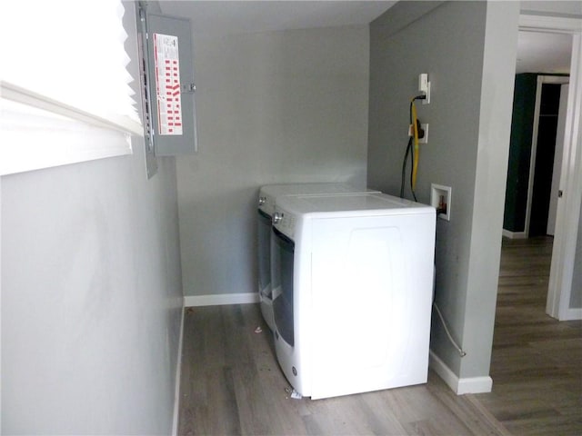 laundry area with wood-type flooring, electric panel, and washer and clothes dryer