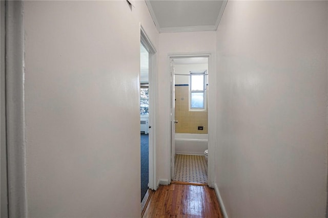 hallway featuring crown molding and dark hardwood / wood-style floors