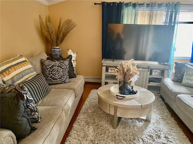 living room with crown molding, wood-type flooring, and a baseboard radiator