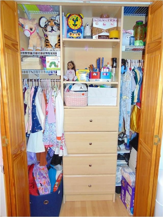 view of closet