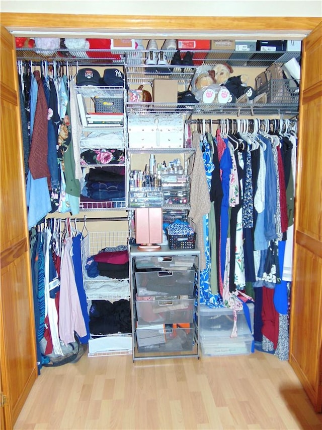 view of closet