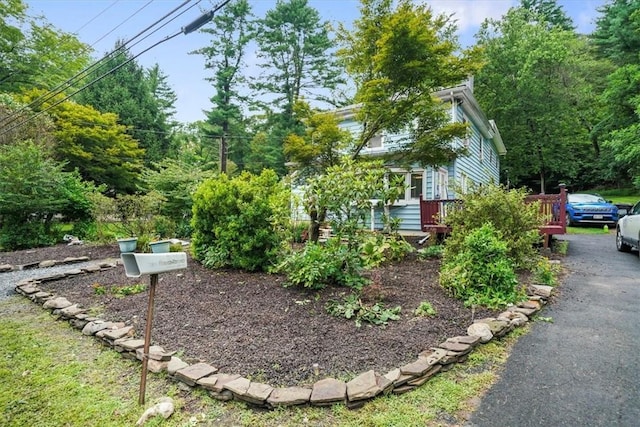 view of yard with a wooden deck