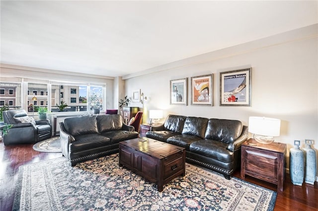 living room with hardwood / wood-style floors