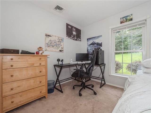 home office with light colored carpet, visible vents, and baseboards