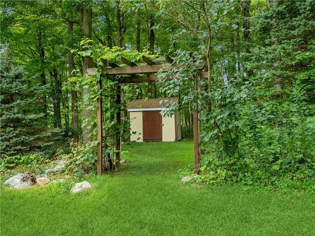 view of yard featuring an outbuilding and a shed