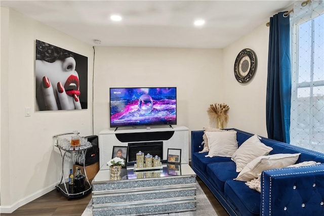 living room with hardwood / wood-style floors